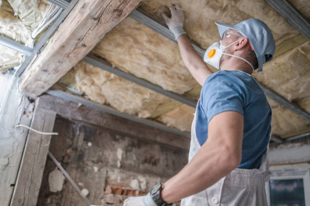 Best Eco-Friendly Insulation in Nesconset, NY